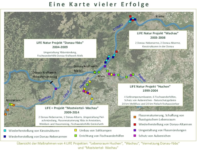 Eine Karte vieler Erfolge